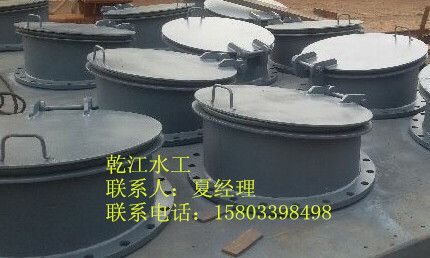 鋼制拍門 鋼制拍門