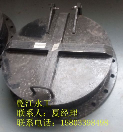 鋼制拍門 鋼制拍門